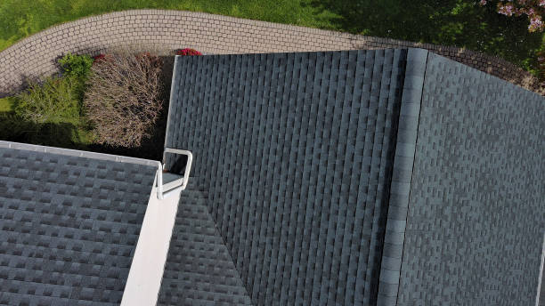 Best Roof Moss and Algae Removal  in Browns Lake, WI